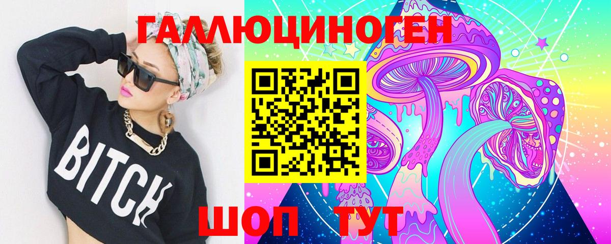 Галлюциногенные грибы Psilocybe Железногорск