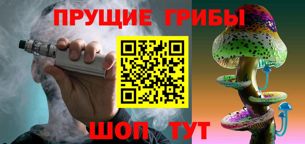 Железногорск  Псилоцибиновые грибы Psilocybine cubensis  Вход с VPN  Псилоцибиновые грибы мухоморы 